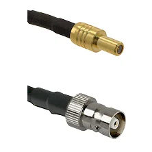 fieldcomponents202607190225192273731