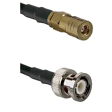 fieldcomponents202607190225392273811