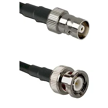 fieldcomponents202607190254432281265