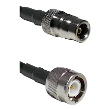 fieldcomponents202607190316132287520