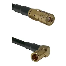 fieldcomponents202607190335262293308