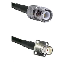 fieldcomponents202607190336292293619