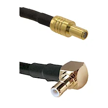 fieldcomponents202607190346352296488
