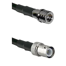 fieldcomponents202607190407542302311