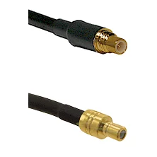 fieldcomponents202607190410222303004