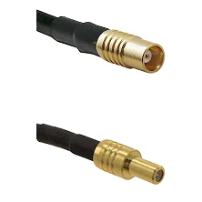 fieldcomponents202607190414082304117