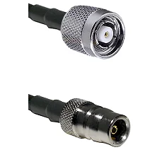 fieldcomponents202607190425352307403