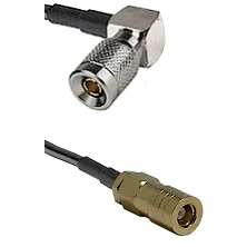 fieldcomponents202607190428302308251