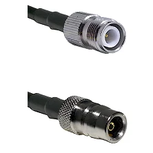 fieldcomponents202607190432282309379