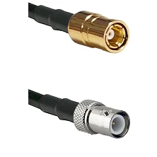 fieldcomponents202607190436392310531