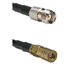 fieldcomponents202607190454092315569