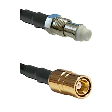 fieldcomponents202607190455292315963