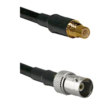 fieldcomponents202607190517142322368