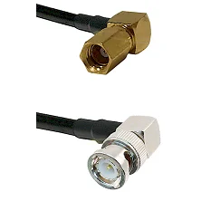 fieldcomponents202607190524342324291
