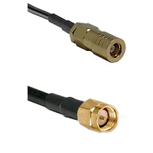 fieldcomponents202607190527332325074