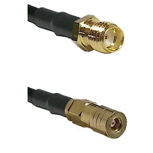 fieldcomponents202607190528482325389