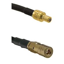 fieldcomponents202607190541502328697