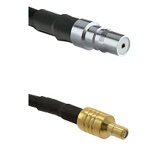 fieldcomponents202607190544562329490