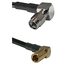 fieldcomponents202607190554262331785