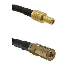 fieldcomponents202607190601022333445