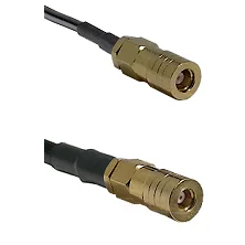 fieldcomponents202607190604152334268