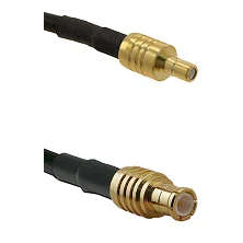 fieldcomponents202607190604182334282