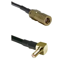 fieldcomponents202607190605522334676