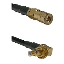 fieldcomponents202607190610432335916