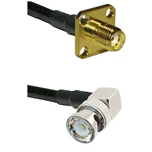 fieldcomponents202607190624232339377
