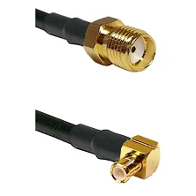 fieldcomponents202607190635012342256