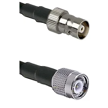 fieldcomponents202607190706122350619