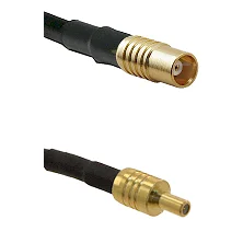 fieldcomponents202607191000562392993