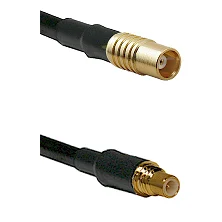 fieldcomponents202607191001072393041