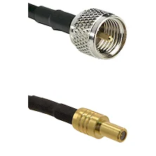 fieldcomponents202607191011192395586