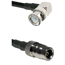 fieldcomponents202607191027362399884