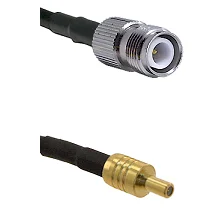 fieldcomponents202607191058212407676