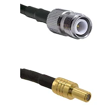 fieldcomponents202607191058372407752