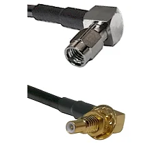 fieldcomponents202607191121282413574