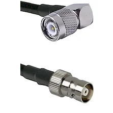fieldcomponents202607191129032415520