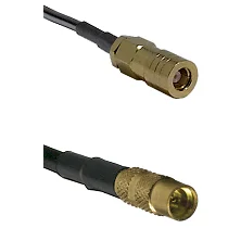 fieldcomponents202607191138532418115