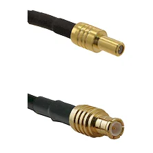 fieldcomponents202607191142072418920