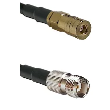 fieldcomponents202607191159402423510