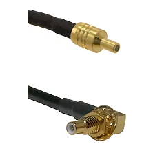 fieldcomponents202607191203032424318