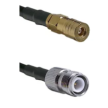 fieldcomponents202607191211112426489