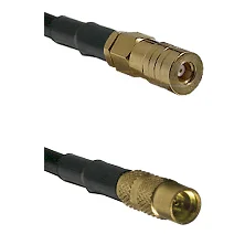 fieldcomponents202607191211472426650