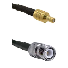 fieldcomponents202607191212442426892