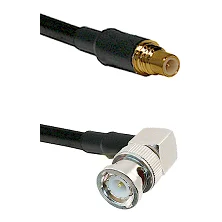 fieldcomponents202607191217362428067