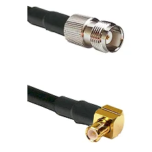 fieldcomponents202607191222012429209