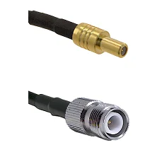 fieldcomponents202607191258002438162