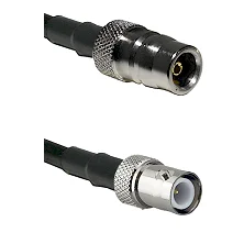 fieldcomponents202607191309422440857